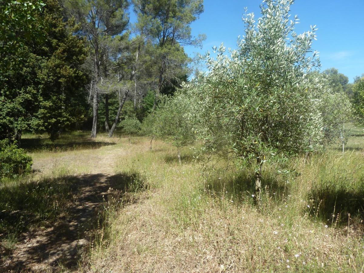 Villa Les Oliviers Draguignan Dış mekan fotoğraf