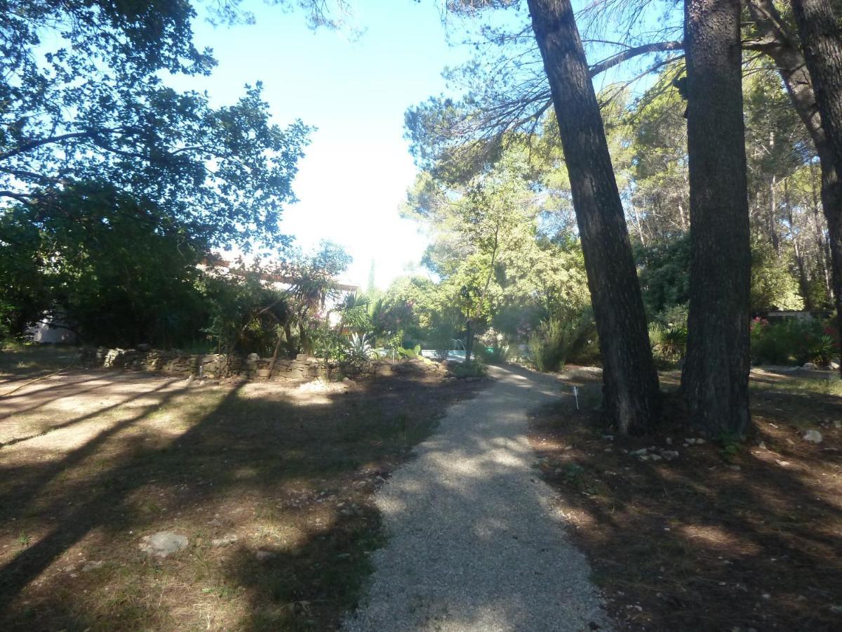 Villa Les Oliviers Draguignan Dış mekan fotoğraf