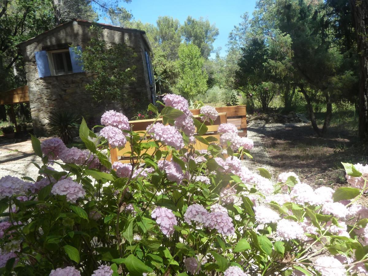 Villa Les Oliviers Draguignan Dış mekan fotoğraf